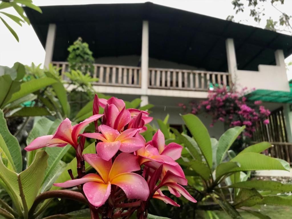 Quinta El Mamey Hotel Río Verde Exterior foto